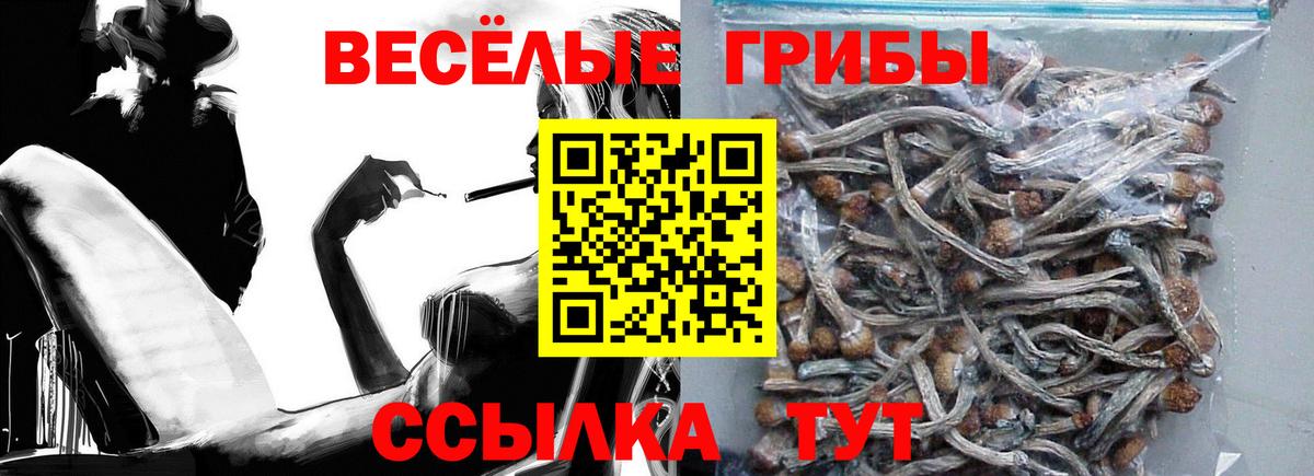 Галлюциногенные грибы прущие грибы  Вход с VPN  продажа наркотиков  Кохма 