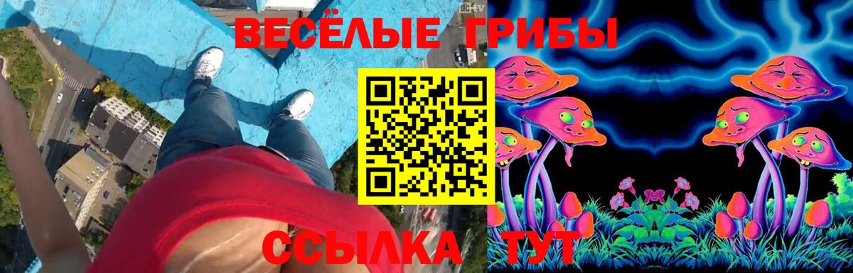 Галлюциногенные грибы Magic Shrooms Кохма