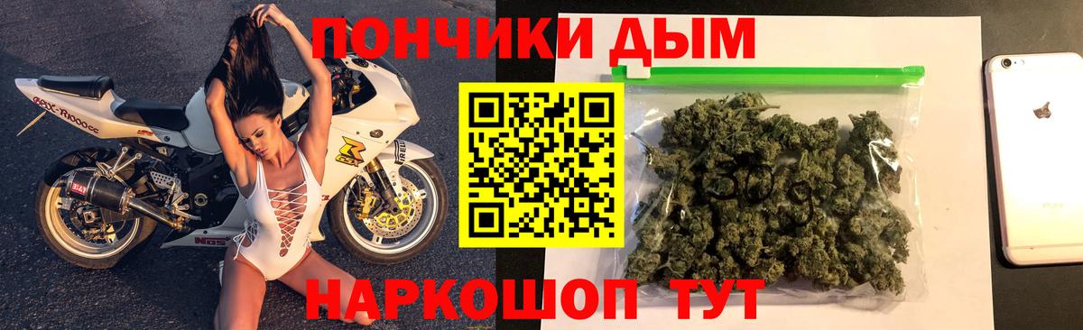 Канабис сатива Кохма